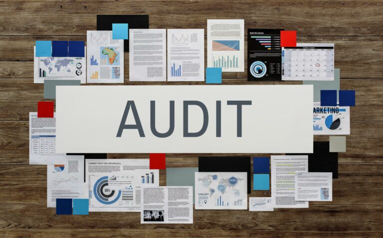 Statutory Audit Requirements in France: Who Needs One and What to Expect?