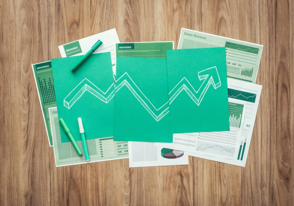 Are Sustainability Reports Mandatory in New Zealand